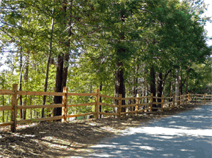 Rail fence